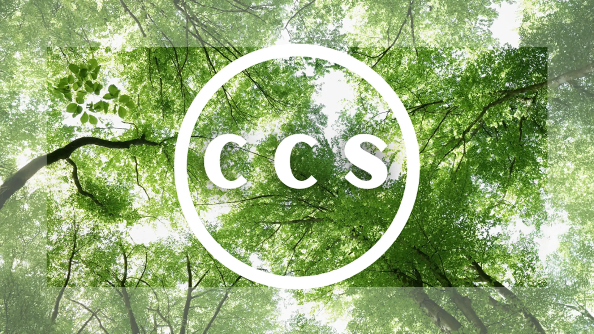 Trees viewed from below with a CCS graphic overlay, representing carbon capture and storage projects and environmental sustainability